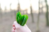 Développement durable_pexels
